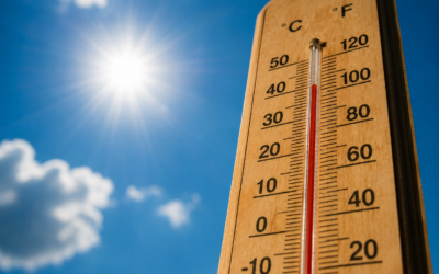 Canicule : la CFDT Adecco demande un véritable plan de protection pour tous les salariés