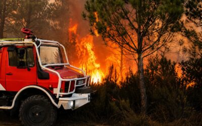 Incendies : face à l’urgence, la solidarité doit être concrète
